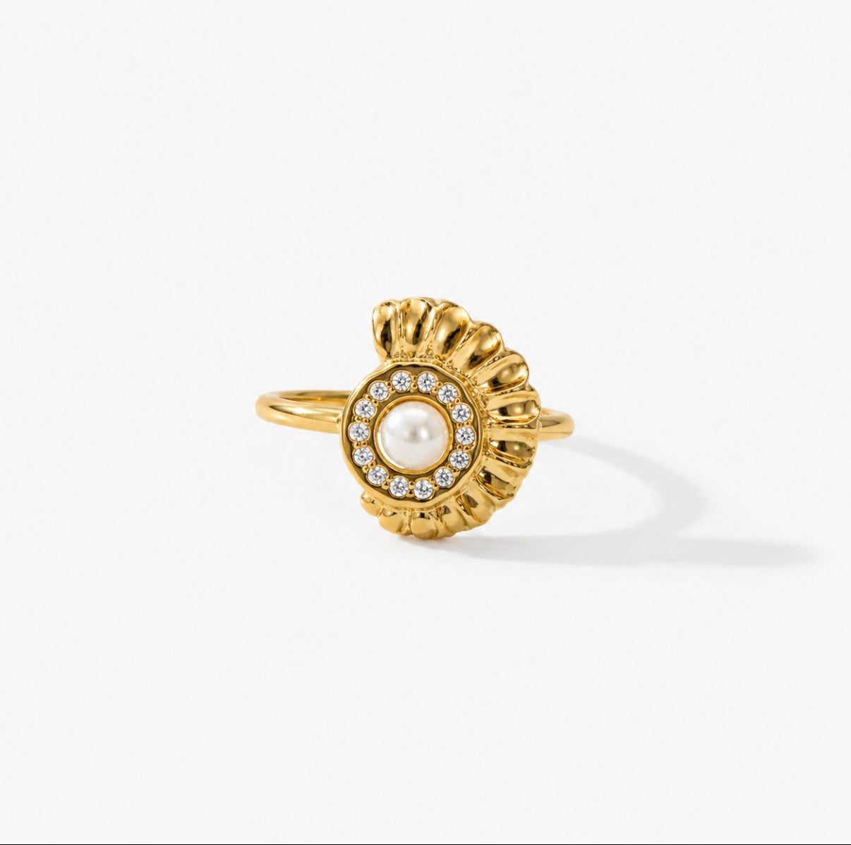 Anillo concha