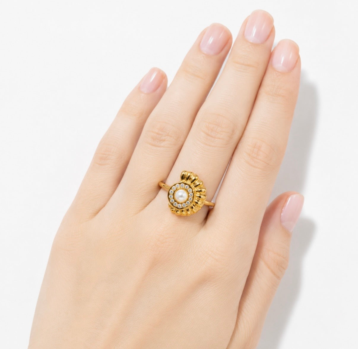 Anillo concha